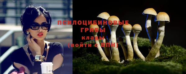 круглые Арсеньев